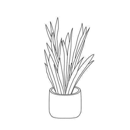Hand drawn house plants in pots including aloe garden tools. Vector collection of doodle plants.のイラスト素材