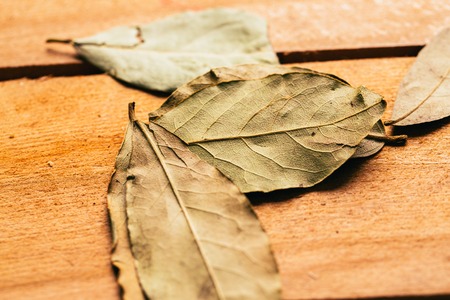 bay leaf on wooden background close up.の写真素材
