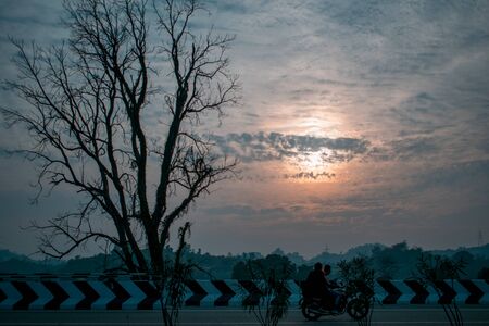 Silhouette of a tree in front of a beautiful sunset. Bikers riding in front of a sunsetの写真素材