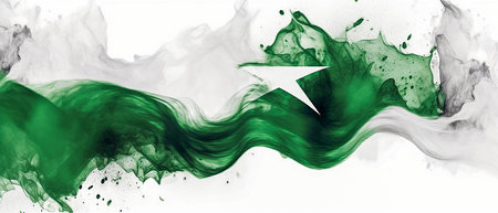 Nigeria flag painted in ink on white background, National flag of Nigeriaの素材