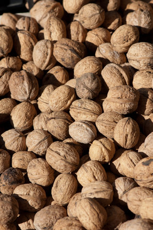 walnuts  desiccate to the sun