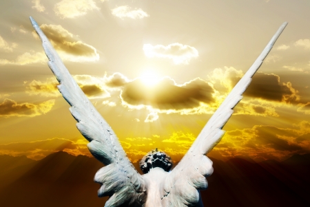 angelの写真素材