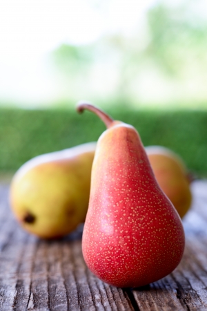 organic pearsの写真素材