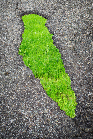 asphalt hole and grassの写真素材