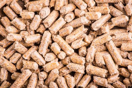 wood pellet production