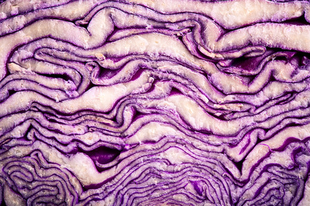 close up on red cabbage textureの写真素材