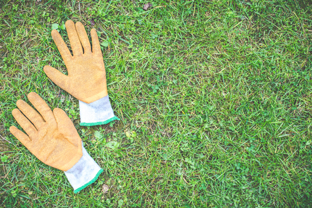 gardening tools - vintage style photoの写真素材