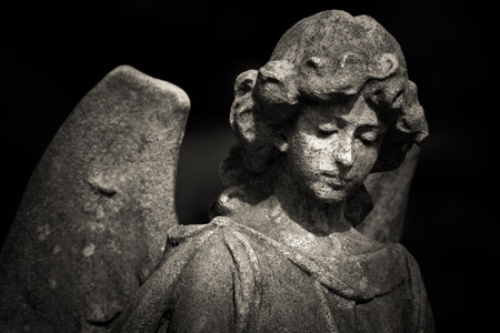 guardian angel black and white photoの写真素材