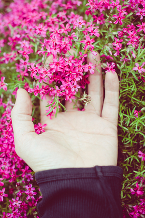 man caresses little flowers with his hand - outdoor activity and spring seasonの写真素材