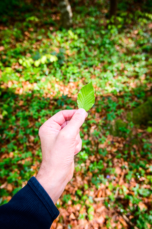 man holding a leaf in his hand - outdoor activity and spring seasonの写真素材