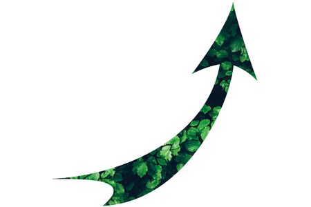 green economy trend - green renewable sustainable economyの写真素材