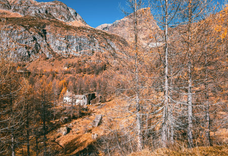 fall season in mountain - Alpe Devero Piedmont Italy