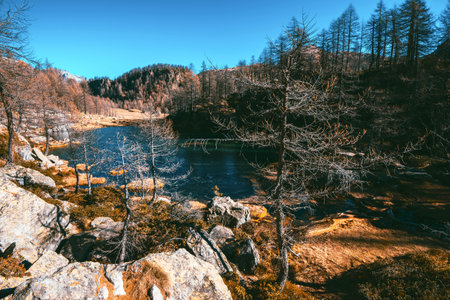 fall season in mountain - Alpe Devero Piedmont Italy