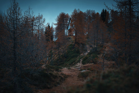 little chapel at mountain footpath with fallen larch leaves - fall seasonの写真素材