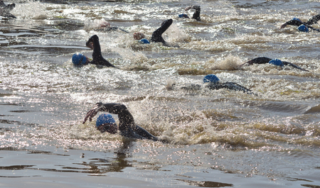 Triathlon swimmers in the river Ouseのeditorial素材
