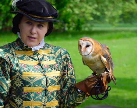 Woman wearing Elizabethan costume with Barn Owl on Gloved hand.のeditorial素材
