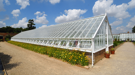 SAFFRON WALDEN, ESSEX, ENGLAND - JULY 14, 2018: Historic restored Greenhouse with flowers .のeditorial素材