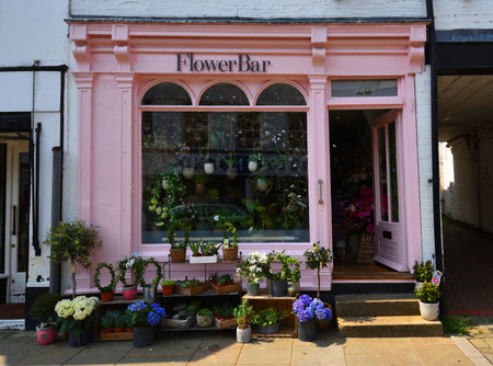 ST IVES, CAMBRIDGESHIRE, ENGLAND -   MAY 26, 2018: Florist Shop Front Pink Facade and Flowers...