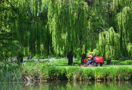 ST NEOTS, CAMBRIDGESHIRE, ENGLAND - MAY 09, 2020:  Mowing the grass in the park under Willow trees.のeditorial素材