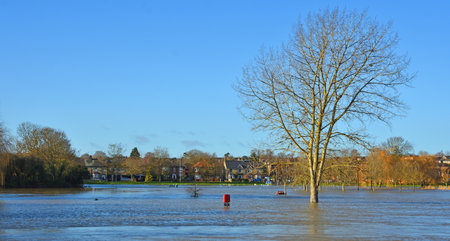 St Neots regatta meadow flooded   and underwater with blue sky and tree.の写真素材