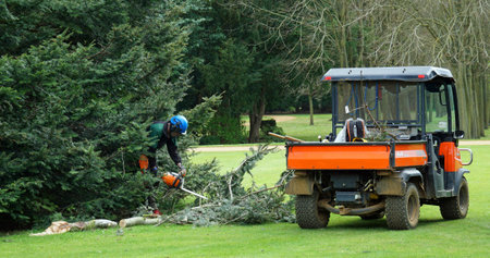 SILSOE, BEDFORDSHIRE, ENGLAND - APRIL 13, 2022:  Gardener working with chainsaw on tree and Kubota...