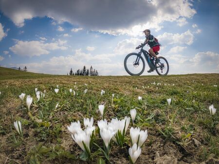 Pretty senior woman riding her electric mountain bike in early springtime in the Allgau mountains near Oberstaufen, in warm evening light with blooming spring flowers in the Foregroundの写真素材