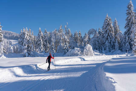 beautiful active senior woman cross-country skiing in fresh fallen powder snow in the Allgau alps near Immenstadt, Bavaria, Germanyの写真素材