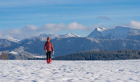 nice active senior woman snowshoeing in the Allgaeu Alps near Oberstaufen with view into the Bregenzerwald, Vorarlberg, Austriaの写真素材