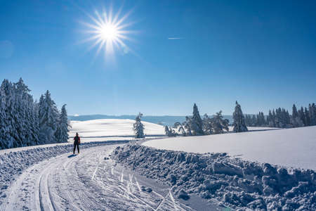 beautiful active senior woman cross-country skiing in fresh fallen powder snow in the Allgau alps near Immenstadt, Bavaria, Germanyの写真素材