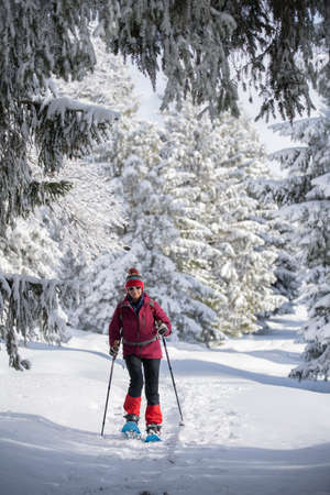 nice and active senior woman snowshoeing in deep powder snow in the Allgau alps, Bavaria, Germanyの写真素材