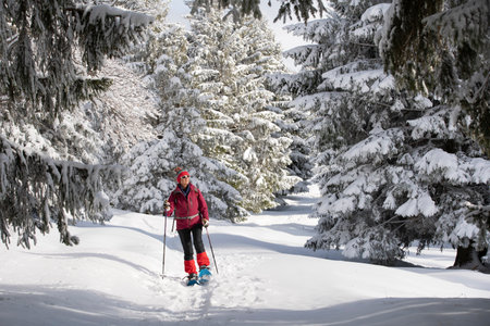 nice and active senior woman snowshoeing in deep powder snow in the Allgau alps, Bavaria, Germanyの写真素材