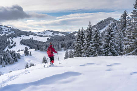 nice and active senior woman snowshoeing in deep powder snow in the Allgau alps, Bavaria, Germanyの写真素材