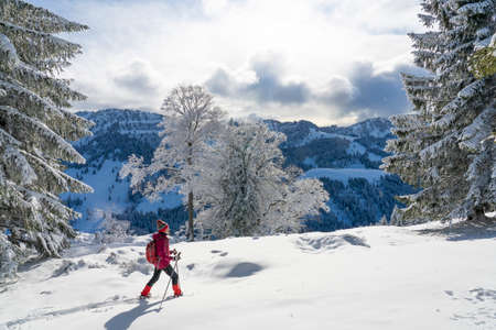 nice and active senior woman snowshoeing in deep powder snow in the Allgau alps, Bavaria, Germanyの写真素材