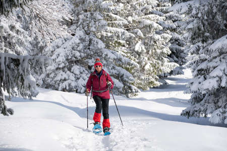 nice and active senior woman snowshoeing in deep powder snow in the Allgau alps, Bavaria, Germanyの写真素材