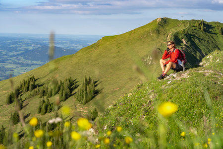 pretty senior woman resting during a hike in the early evening in warm dawn light on the ridge of the Nagelfluh chain in the Allgau Alps near Immenstadt, Bavaria, Germanyの写真素材