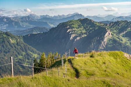 pretty senior woman hiking in the early evening in warm dawn light on the ridge of the Nagelfluh chain in the Allgau Alps near Immenstadt, Bavaria, Germanyの写真素材