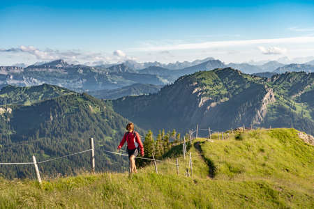 pretty senior woman hiking in the early evening in warm dawn light on the ridge of the Nagelfluh chain in the Allgau Alps near Immenstadt, Bavaria, Germanyの写真素材