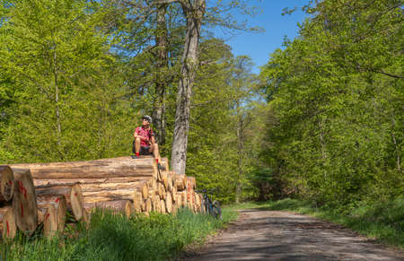 nice and remained young senior woman, sitting and having a rest break on a pile of tree trunks during a bicycle tour in a springtime forest in the Stromberg area near Zaberfeld, Baden-Wuerttemberg,の写真素材