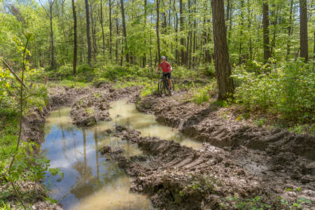 woman with mountain bike, horrified by deep tracks in forest - soil condensed and degrated and heavyly damaged by industrial wood harvestersの写真素材