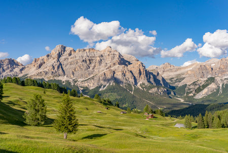 stunning landscape on the Pralongia Plateau in the Alta Badia Dolomites with awesome Sasso die Santa Cruce summit in Backg, South Tirol and Trentino, Italyの写真素材