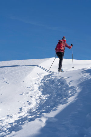active woman snowshoeing under the famous Three peaks, from Prato Piazzo up to the Monte Specie in the three peaks Dolomites area near village of Innichen, South Tyrol, Italyの写真素材