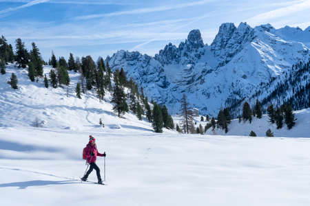 active senior woman snowshoeing from Prato Piazzo up to the Monte Specie in the three peaks Dolomites area near village of Innichen, South Tyrol, Italyの写真素材
