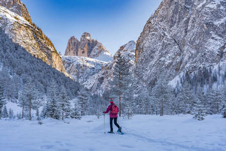 active senior woman snowshoeing in spectacular Hoehlenstein Valley under the famous Three Peaks, Dolomites near village of Toblach, South Tyrol, Italyの写真素材