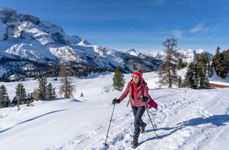 active senior woman snowshoeing from Prato Piazzo up to the Monte Specie in the three peaks Dolomites area near village of Innichen, South Tyrol, Italyの写真素材