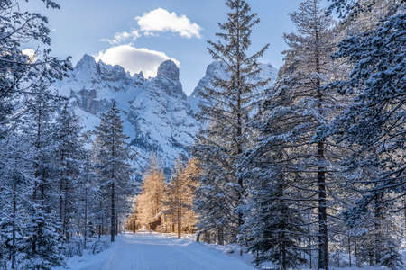 winter Mountain landscape in the Three Peaks Dolomites area near Toblach and Innichen, South Tyrol, Italy, landscape photography with Monte Cristallo summitの写真素材