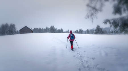 nice senior woman snowshoing in heavy snow fall in a winterly forest and moor landscape in the Bergenzer Wald area of Vorarlberg, Austriaの写真素材