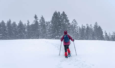 nice senior woman snowshoing in heavy snow fall in a winterly forest and moor landscape in the Bergenzer Wald area of Vorarlberg, Austriaの写真素材