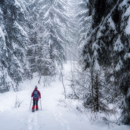 nice senior woman snowshoing in heavy snow fall in a winterly forest and moor landscape in the Bergenzer Wald area of Vorarlberg, Austriaの写真素材