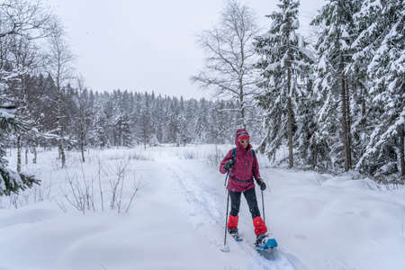 nice senior woman snowshoing in heavy snow fall in a winterly forest and moor landscape in the Bergenzer Wald area of Vorarlberg, Austriaの写真素材
