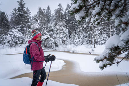 nice senior woman snowshoing in heavy snow fall in a winterly forest and moor landscape in the Bergenzer Wald area of Vorarlberg, Austriaの写真素材